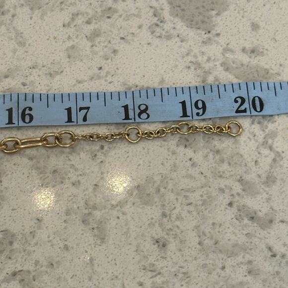 J. Crew Tortoise Link Necklace - Picture 4 of 4